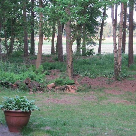 Vakantiehuis Op Top Locatie #Ommen Exteriör bild