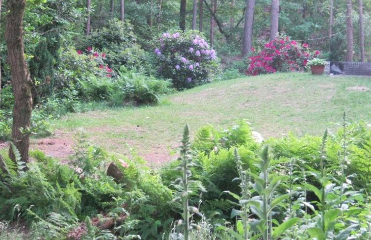 Vakantiehuis Op Top Locatie #Ommen Exteriör bild