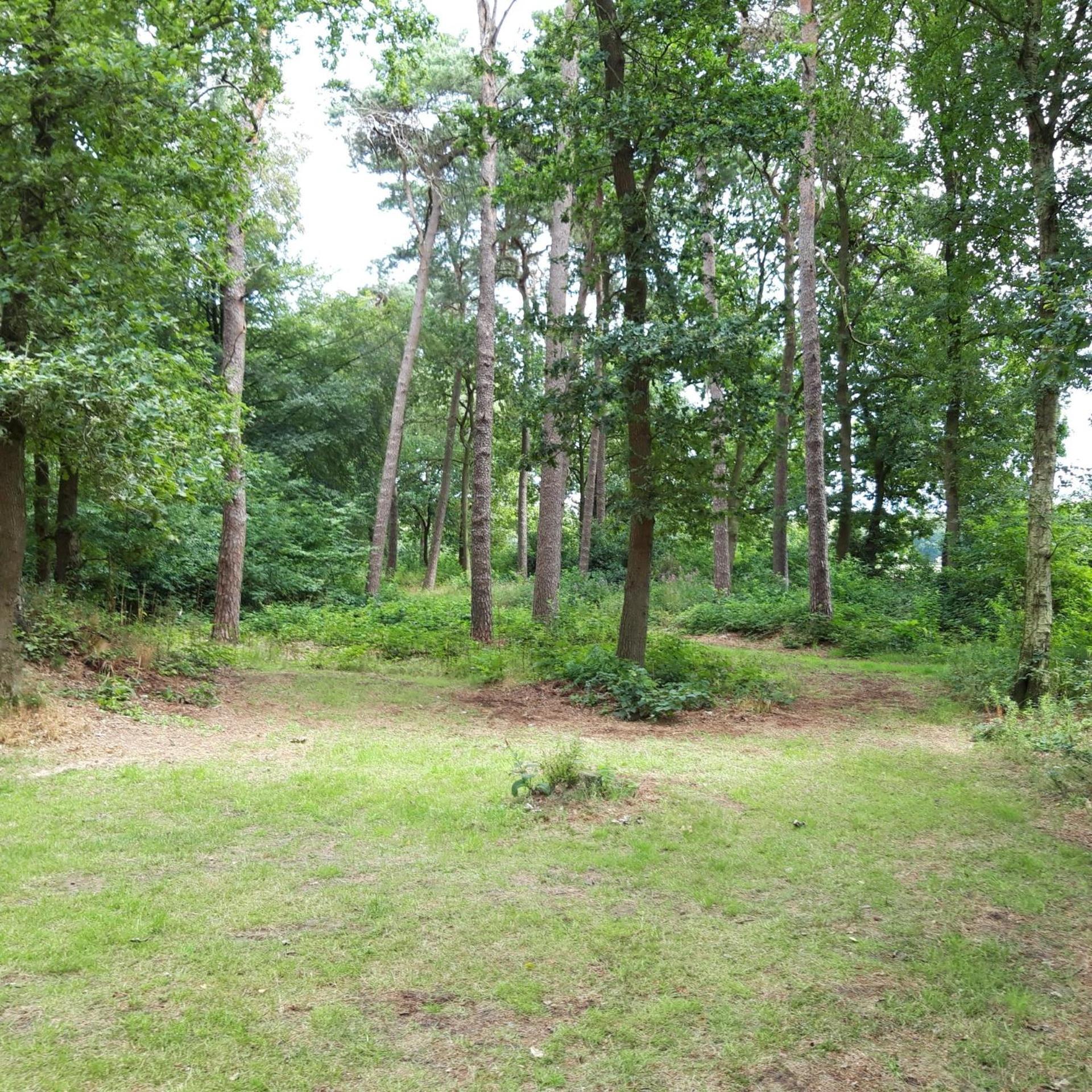 Vakantiehuis Op Top Locatie #Ommen Exteriör bild