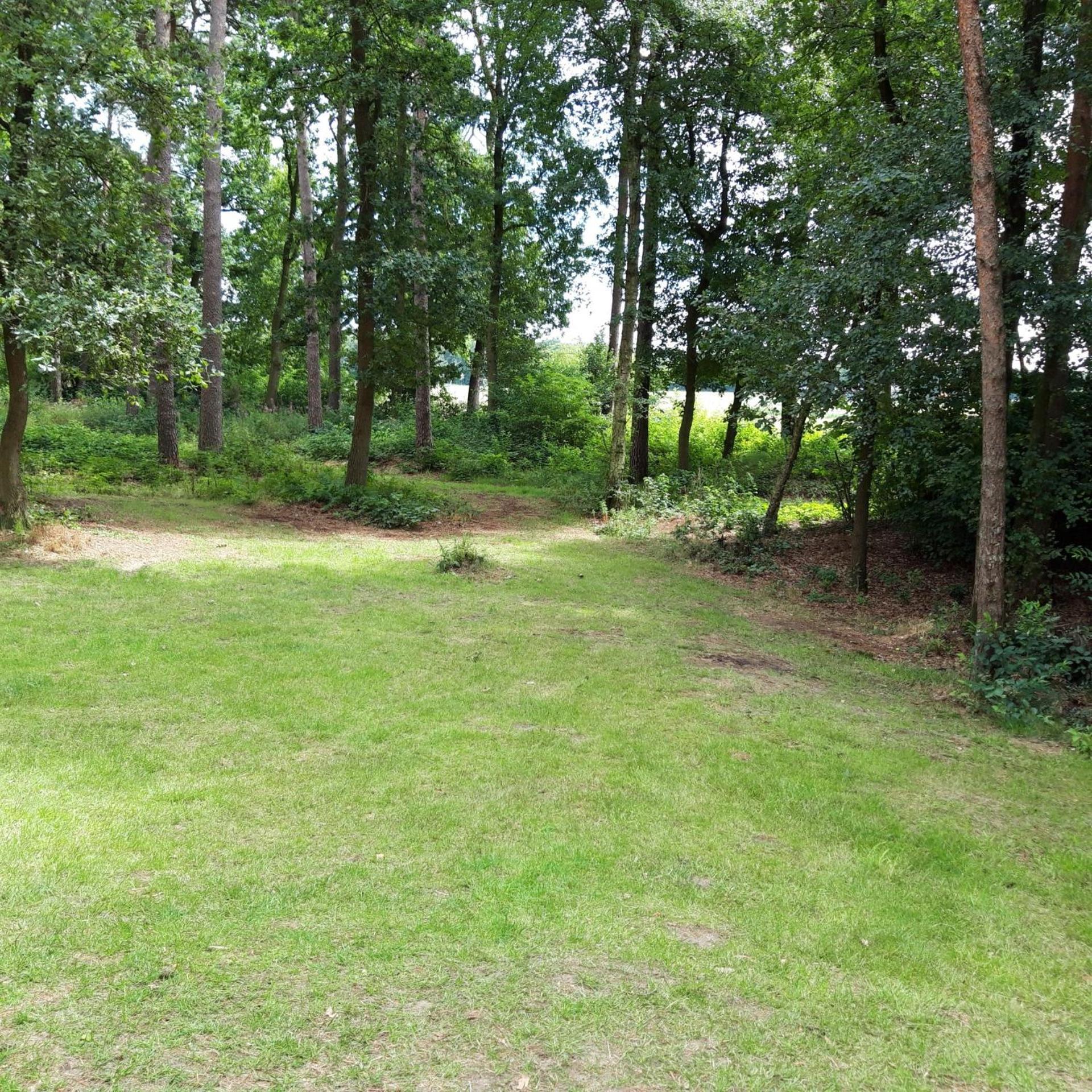 Vakantiehuis Op Top Locatie #Ommen Exteriör bild